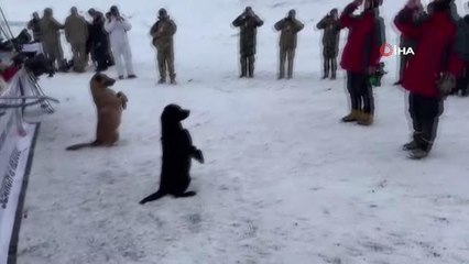 TSK'nın hassas burunları 'Kış Tatbikatı-2023' için hazır