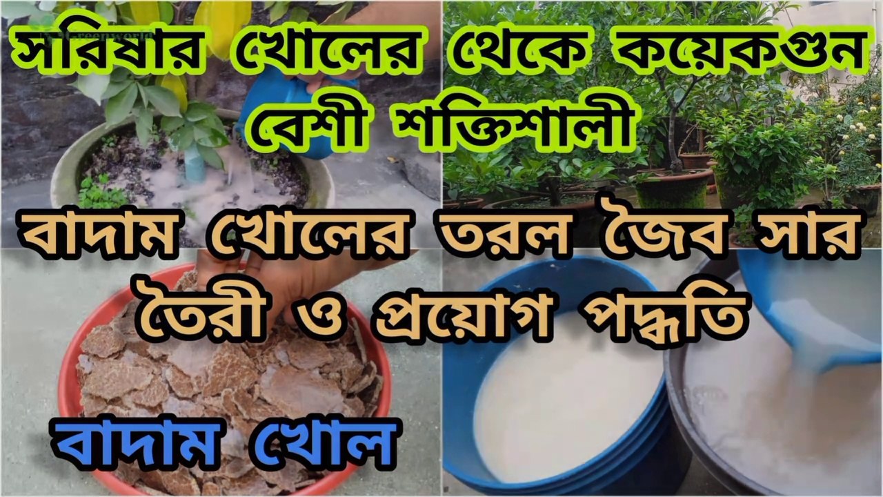 বাদাম খোলের তরল জৈব সার তৈরী, প্রয়োগ এবং কার্যকারিতা ; Groundnut cake fertilizer