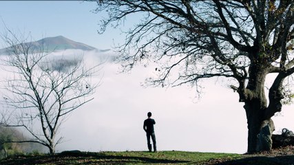 LES ENVOÛTÉS de Pascal Bonitzer - bande-annonce officielle