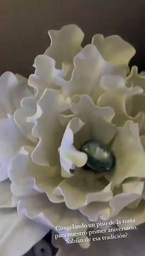 Brunella Horna decide congelar un piso de su torta de bodas Para nuestro primer aniversario