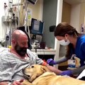 Hastaneye kaldırılan insan dostunu, bir an bile yalnız bırakmayan köpek