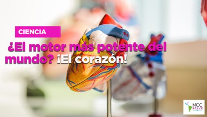 ¿El motor más potente del mundo? ¡El corazón!