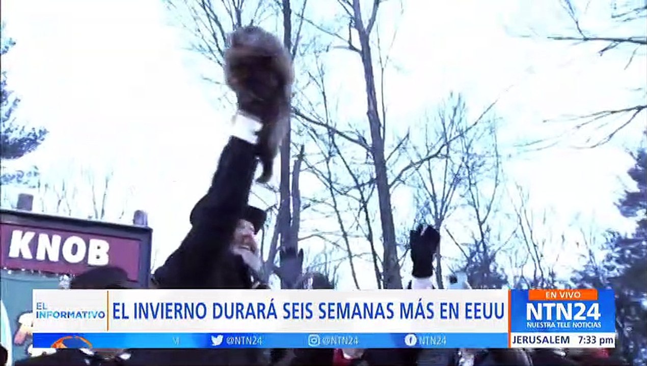 Día de la marmota: roedor predice cuánto tiempo más duraría el invierno en EE. UU.