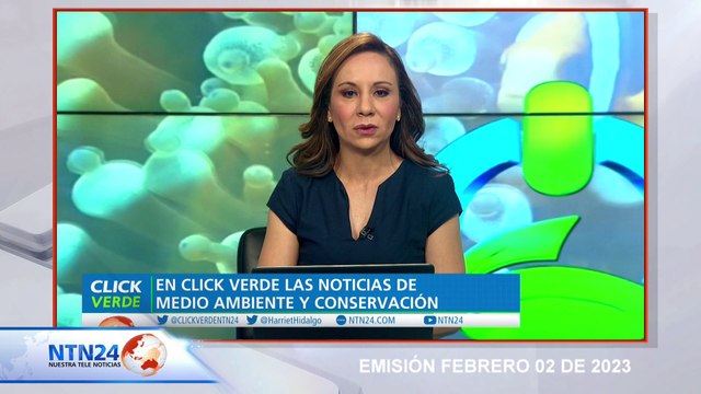 Cierre progresivo del gran agujero de la capa de ozono