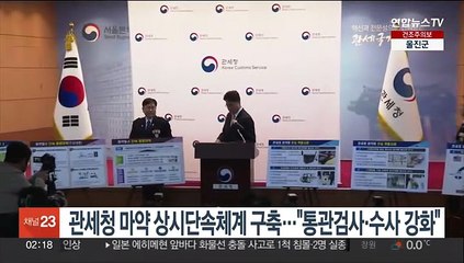 관세청 마약 상시단속체계 구축…"통관검사·수사 강화"