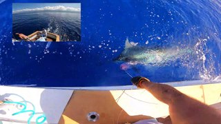 Marlin Expeditions Comes to Kona
