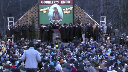 El mal tiempo se prolongará seis semanas más, predice la marmota Phil en EEUU