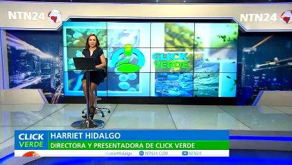 Recuperación capa de ozono