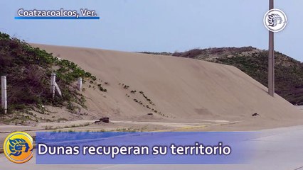 Con frentes fríos, dunas recuperan territorio en el Malecón
