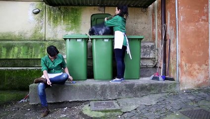 Los objetos amorosos | movie | 2016 | Official Trailer