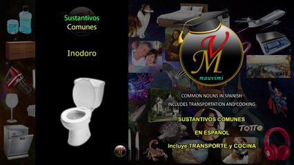 Identificando los Sustantivos Comunes en Español - Incluye Transporte y Cocina