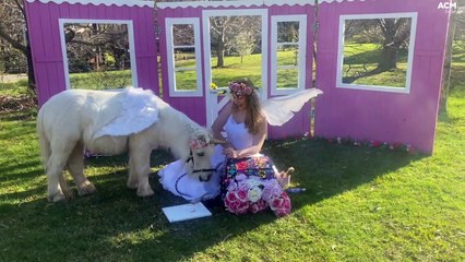 Erin Reedie and Piccolo Ponies - Southern Highland News - Friday, February 3 2023