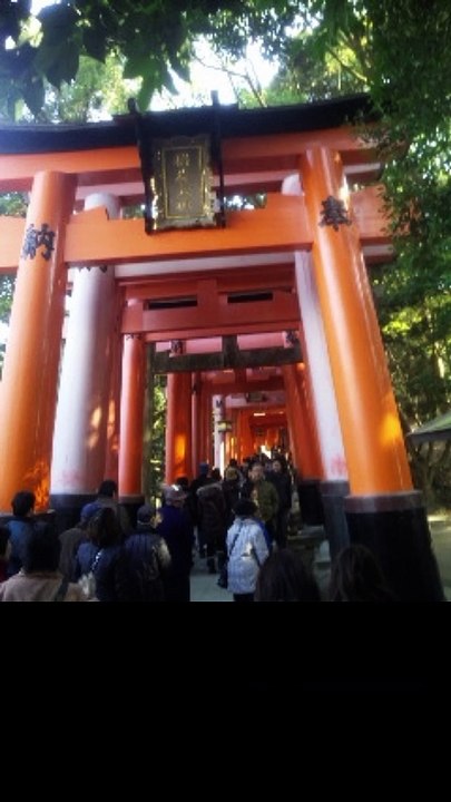 kyoto 　japan