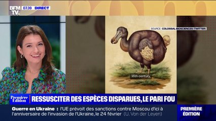 Le choix de Marie - Ressusciter des espèces disparues comme le Dodo, le pari fou de cette start-up américaine