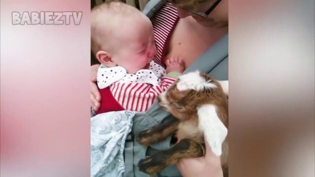 best cute Babies meeting with Farm animals - | Funny Babies and Animal videos | full entertainment