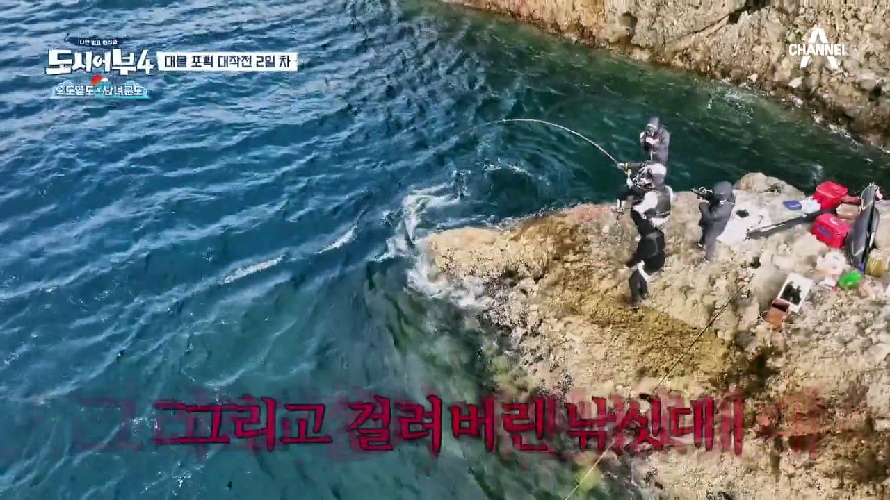 [선공개] 이 손맛은 돌돔?! 도시어부 6년 만에 만난 환상의 파트너 경규X태곤은 과...
