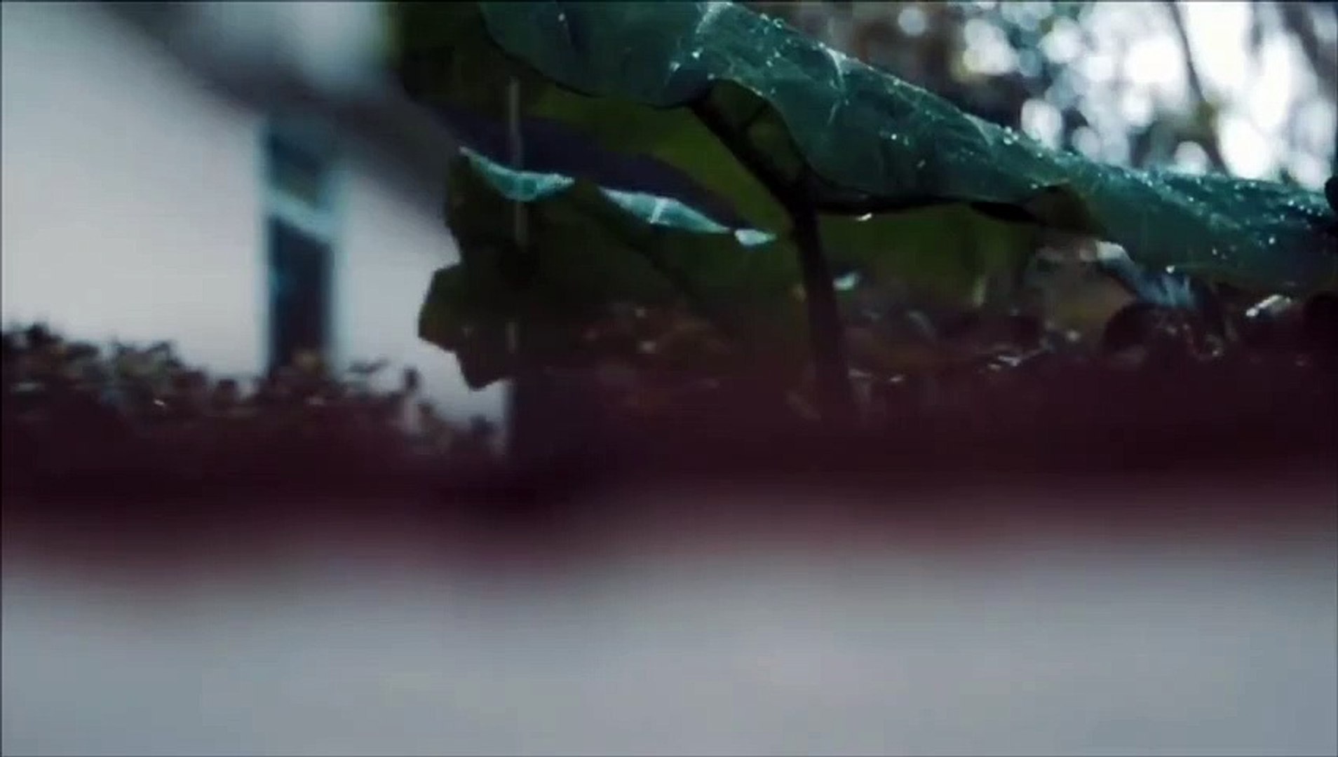 nature 4k video - Nature Videos 4k