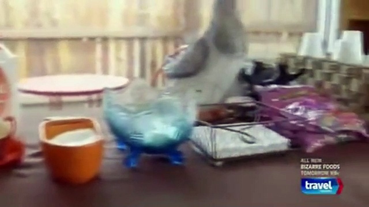 Hotel Impossible - Se7 - Ep10 HD Watch