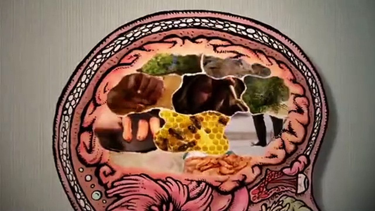 The Mind Of A Chef- Se3 - Ep12 HD Watch