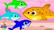 Five Little Sharks | Baby Shark | Nursery Rhymes & Kids Songs