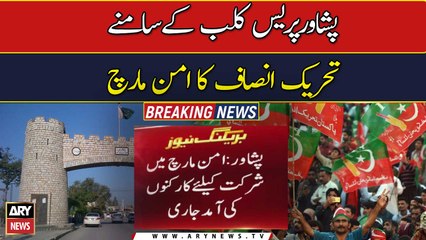 PTI holds Aman March infront of Peshawar Press Club
