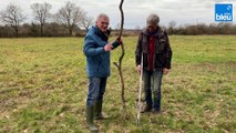 Curieux de Nature - Marais THEIX