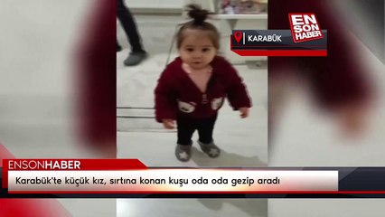 Karabük'te küçük kız, sırtına konan kuşu oda oda gezip aradı