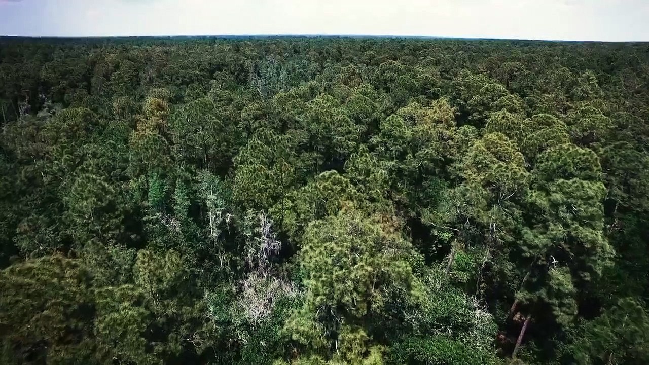 Secrets of the Morgue - Se1 - Ep08 - John Doe No. 5 HD Watch