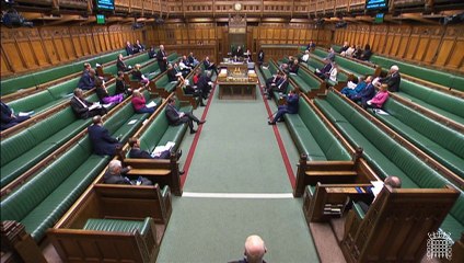 New Forest MP Sir Julian Lewis raises concerns about sale of former Fenwick Hospital in Hoiuse of Common