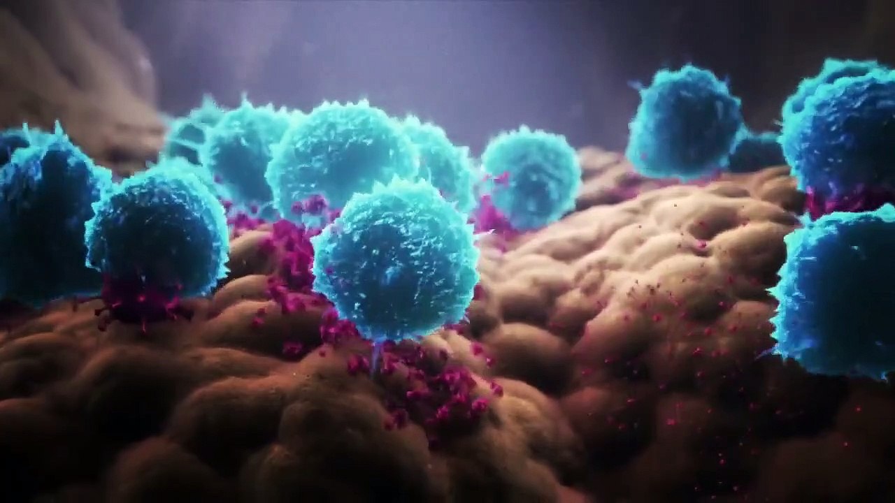 Nova - Se47 - Ep05 - Cuba's Cancer Hope HD Watch