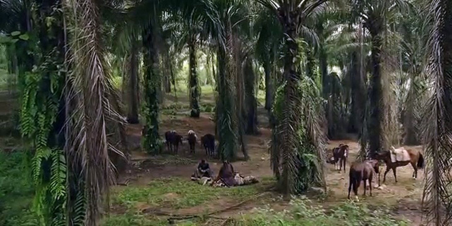 Marco Polo - Se1 - Ep05 - Hashshashin HD Watch