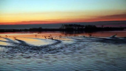 Isleños: una raíz de América | movie | 2017 | Official Trailer