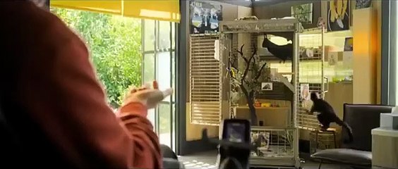 Gigi & Nate | movie | 2022 | Official Trailer