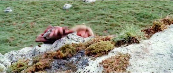 Le Pacte des loups | movie | 2001 | Official Trailer