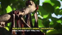 World's Greatest Animal Encounters | show | 2020 | Official Trailer