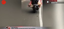 Viral kucing dijadikan bakso, ini faktanya