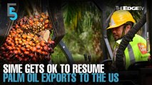 EVENING 5: Sime Darby Plantation gets ok to export to the US