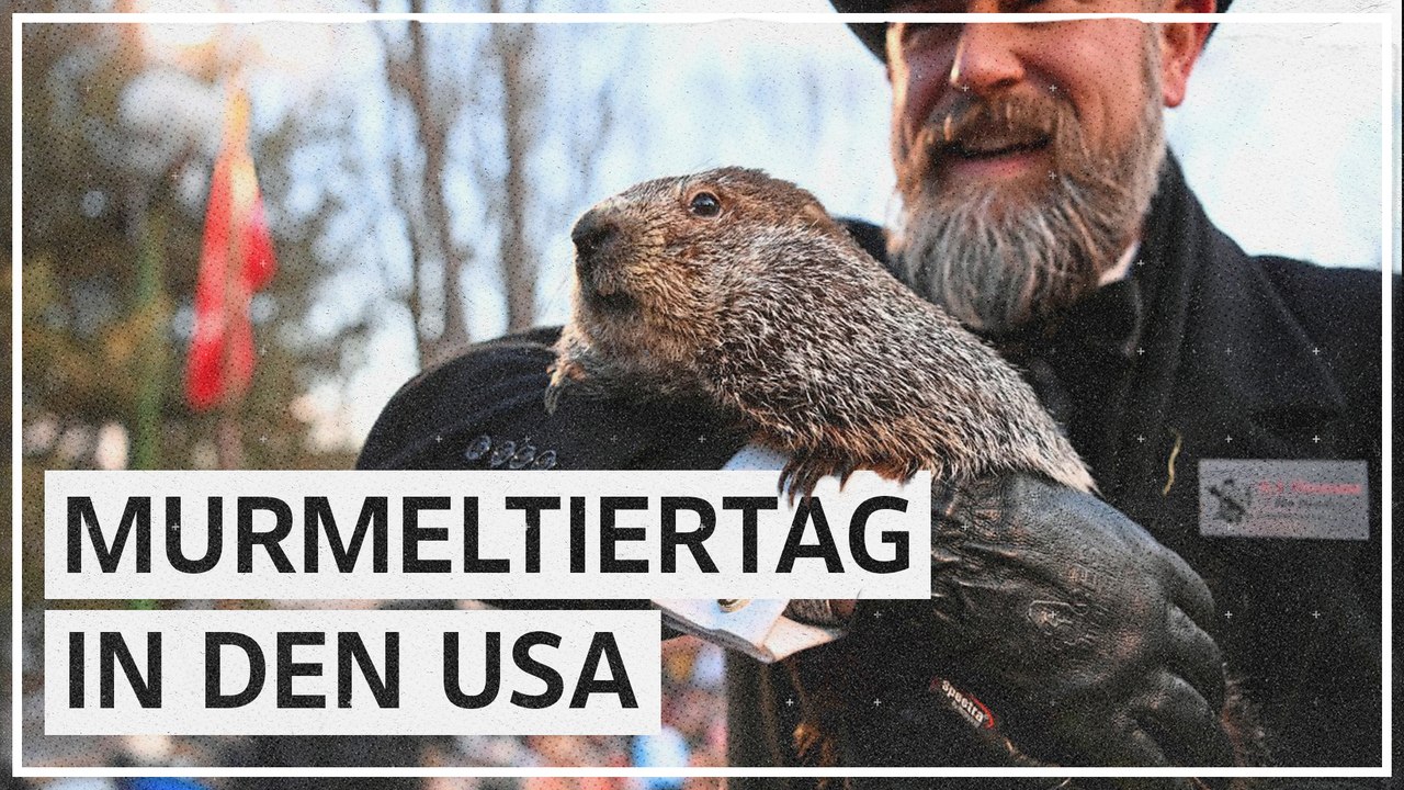 Murmeltier Phil sagt USA sechs weitere Wochen Winter voraus