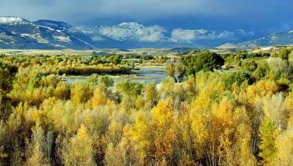 Couleurs de l'Amour | movie | 2021 | Official Trailer