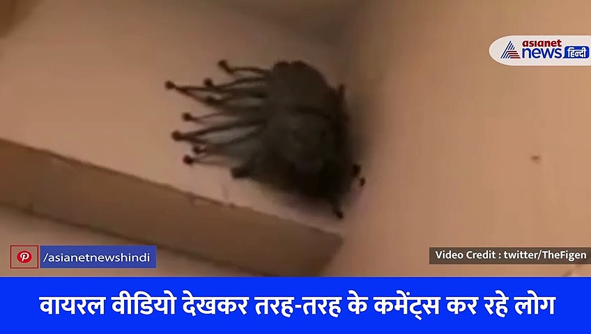 दीवार पर चल रही इस खौफनाक चीज को देखकर कांपे लोग, हर कोई पूछ रहा आखिर ये है क्या?