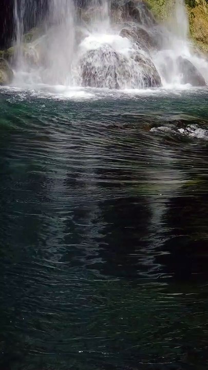 Hijau Modern Instagram Reel