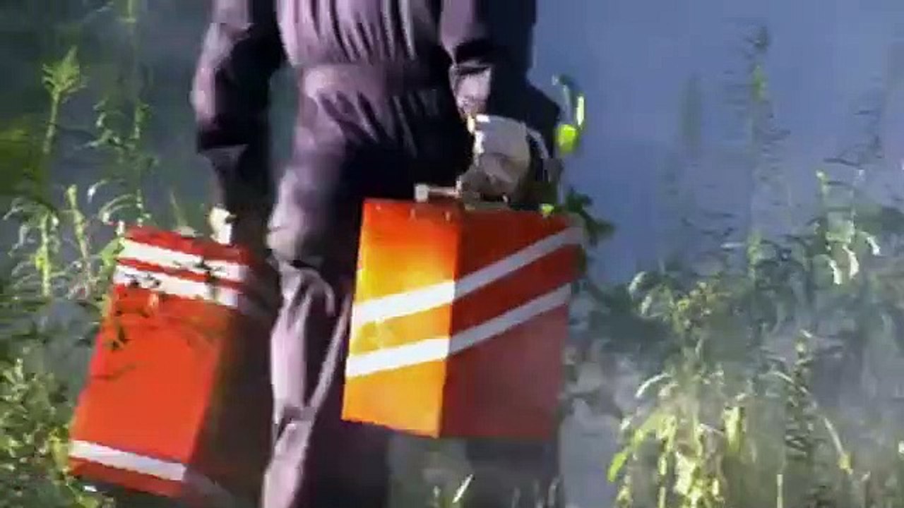 Air Emergency - Se9 - Ep03 HD Watch