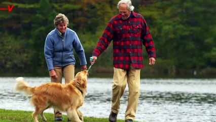 Just Living Near This Can Increase Your Chance of a Stroke