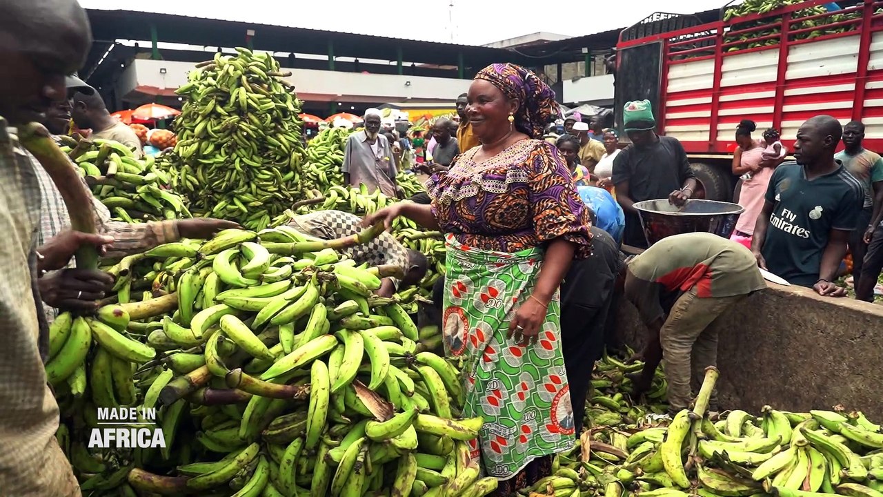 [Reportage] Le business de la banane plantain en Côte d'Ivoire (Made In