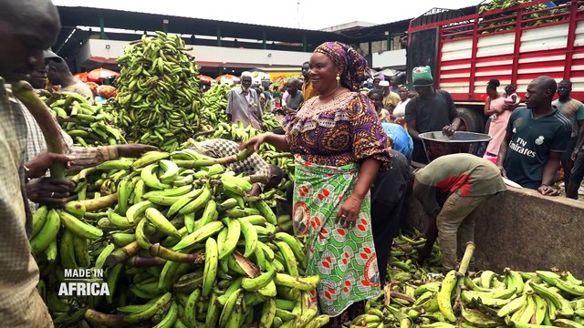 [Reportage] Le business de la banane plantain en Côte d'Ivoire (Made In Africa)