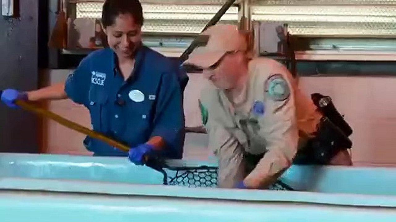 Lone Star Law - Se4 - Ep01 - Justice Served HD Watch