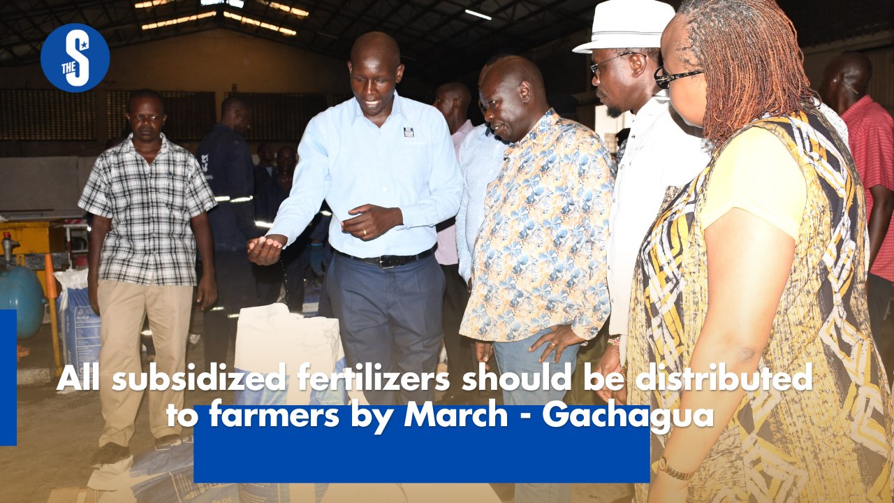 All subsidized fertilizers should be distributed to farmers by March - Gachagua
