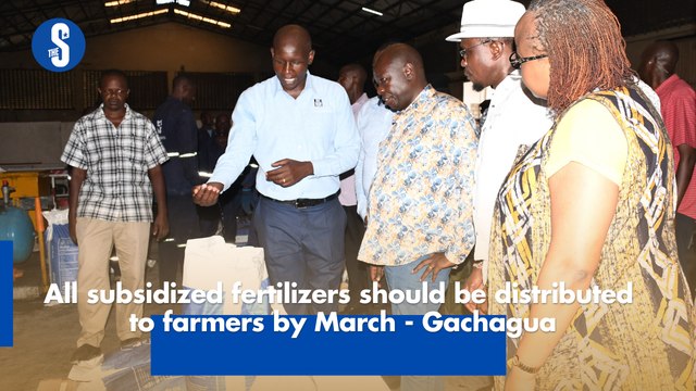 All subsidized fertilizers should be distributed to farmers by March - Gachagua