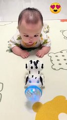 Cutest & Funny Baby  Video | Try not to laugh  | Funny Baby Video | Cute Baby