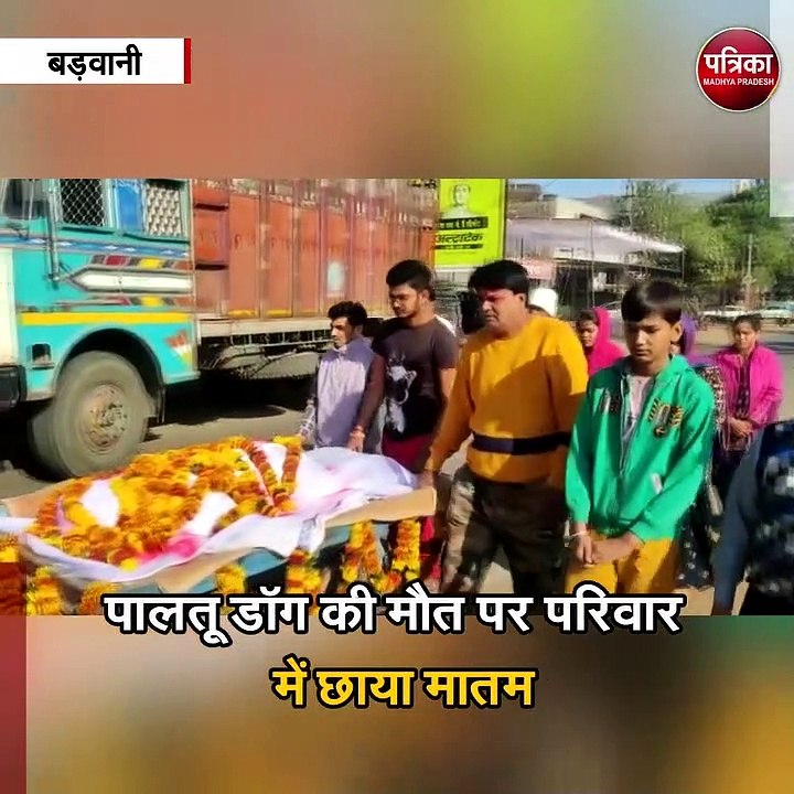 मित्तल परिवार के डॉग की एक्सीडेंट में मौत